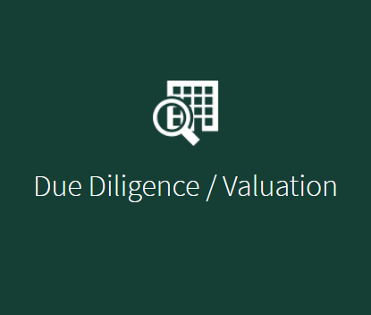 Due Diligence Services